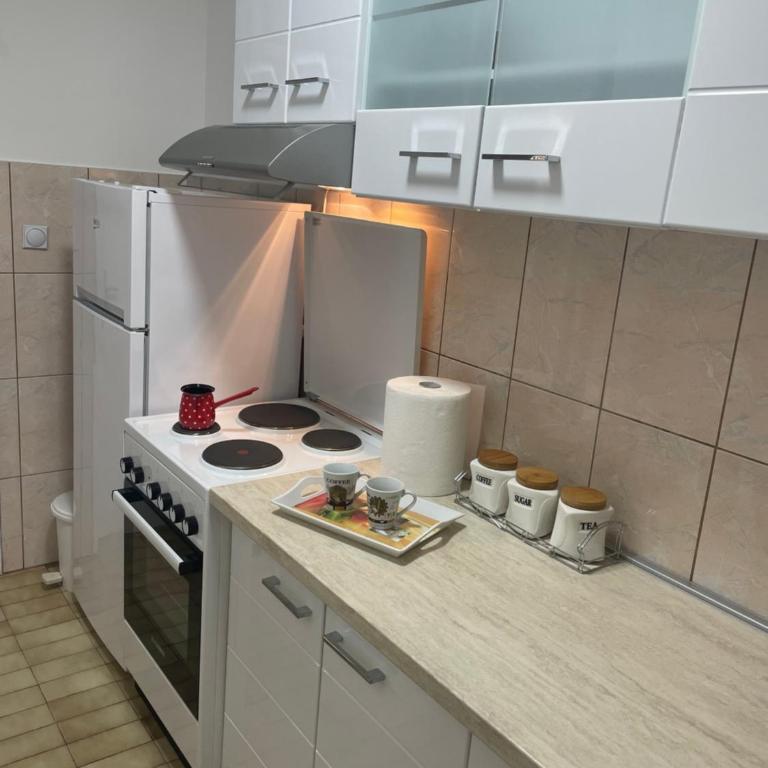 Konstantin Sokobanja - Apartman sa 1 Spavaćom Sobom - 11