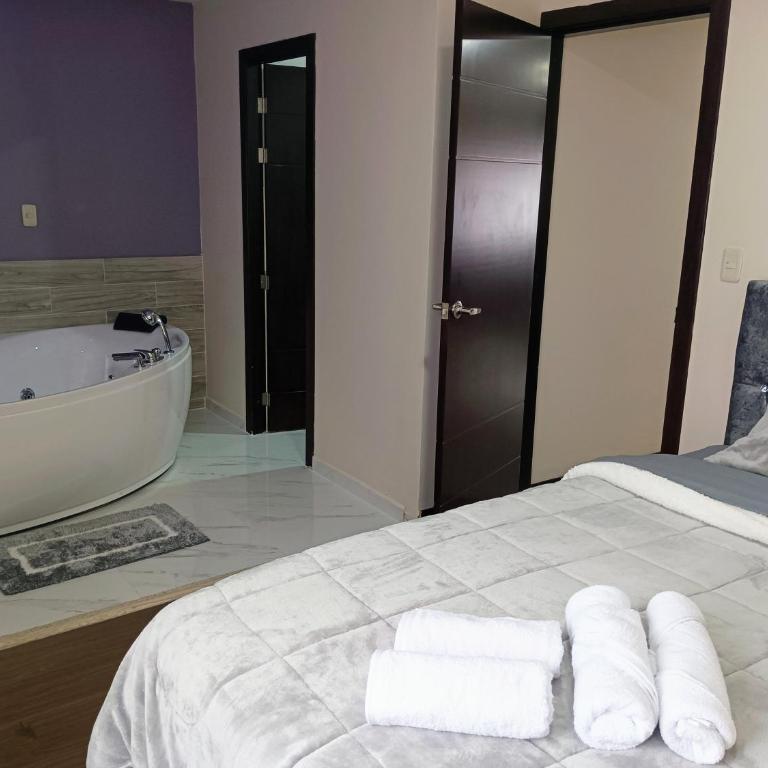 Departamento Grande con Jacuzzi - Apartment - 18