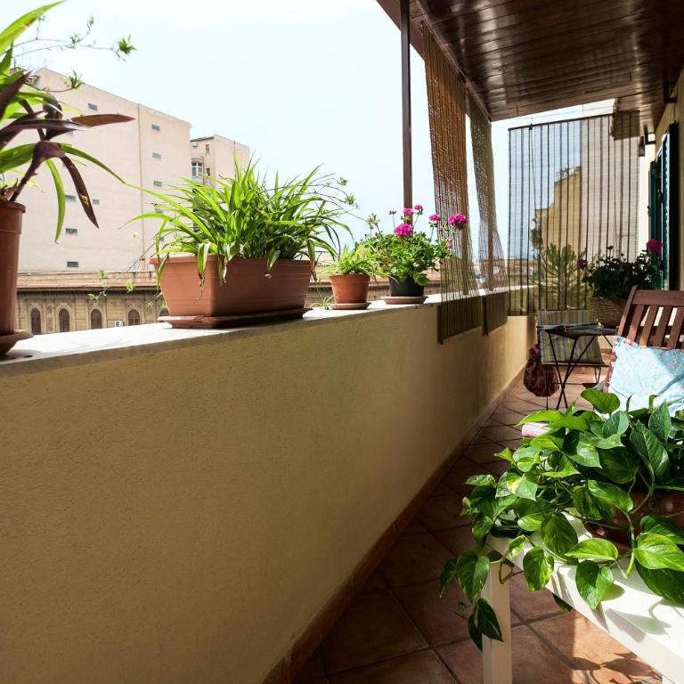 Attico Finocchiaro - Terrazza in Centro Wifi Free - Appartamento con Terrazza - 7