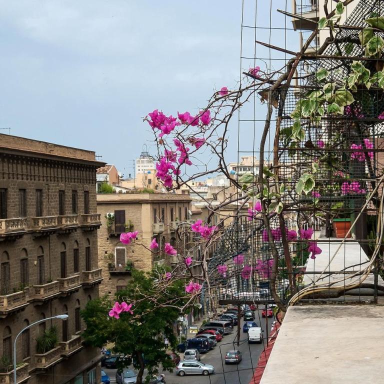 Attico Finocchiaro - Terrazza in Centro Wifi Free - Appartamento con Terrazza - 34