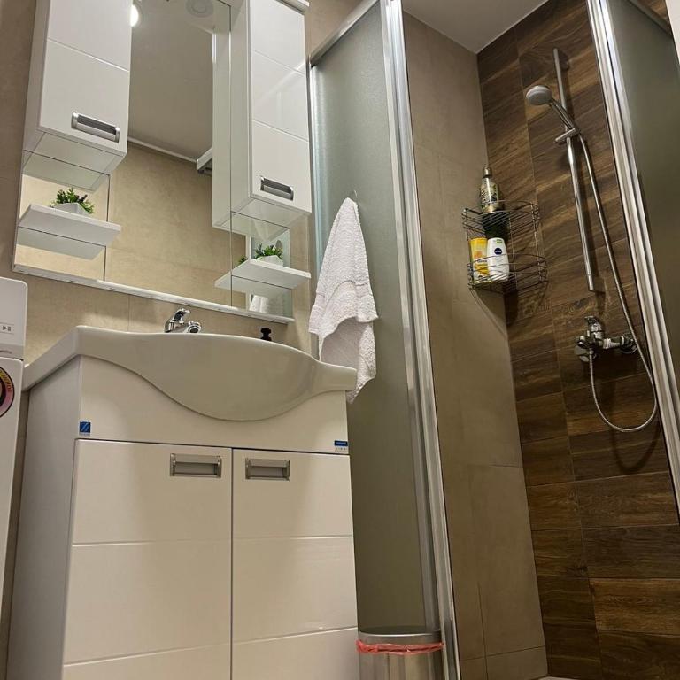NASTIĆ Apartmani - One-Bedroom Apartment - 19