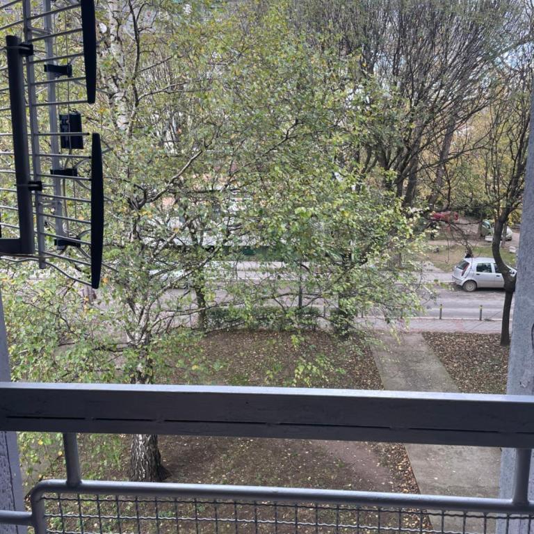 Konstantin Sokobanja - Apartman sa 1 Spavaćom Sobom - 4