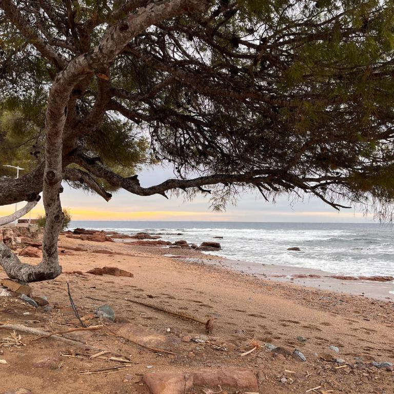 Appart Saint Raph' - Apartamento de 2 dormitorios - 8
