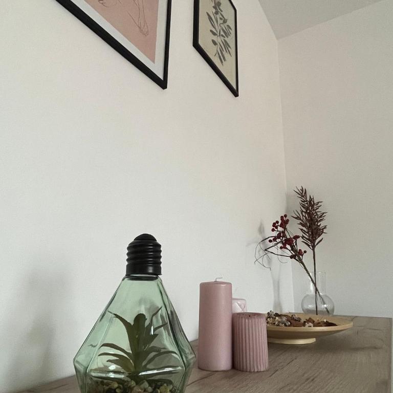 Ajrin Apartman Kopaonik - Apartman sa 1 Spavaćom Sobom - 11