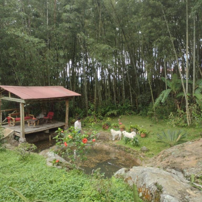 Finca exclusividad familiar o grupo de amigos capacidad hasta 12 personas calles en placa huella, caminata ecológica - Casa de 3 dormitorios - 3