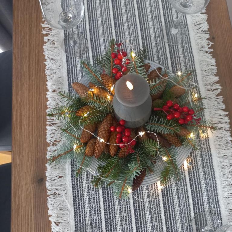 Medana Zlatibor - Apartman sa 1 Spavaćom Sobom - 4