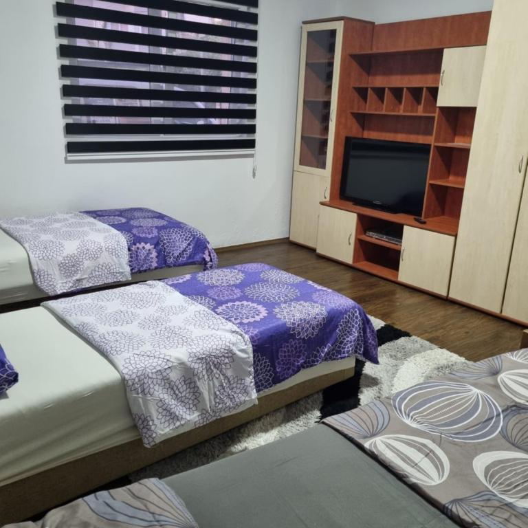 Apartman Vany - Apartman sa 2 Spavaće Sobe - 12