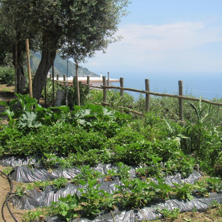 Casa Vacanze Il Libeccio - Appartamento con Vista Mare - 54
