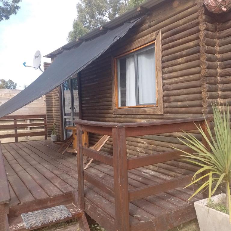 Delety 1 - Apartamento de 1 dormitorio - 1