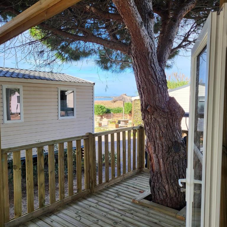 Mobil Home spacieux Camping Mar Estang 4* - Casa Mobile - 1