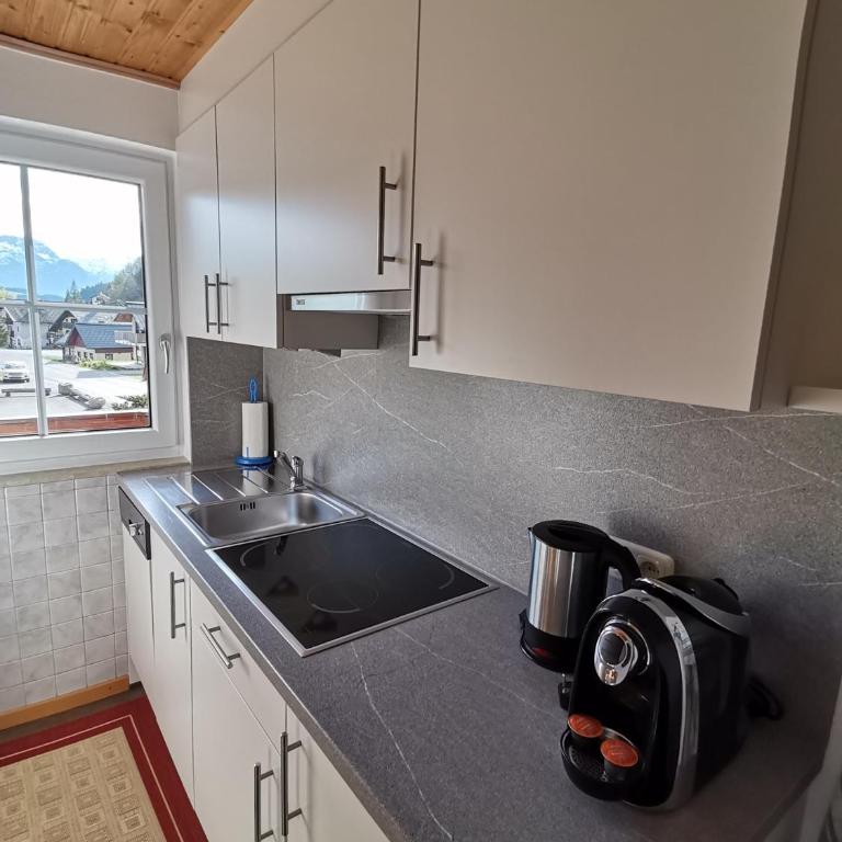 Landhaus Schwaighofer Dachstein West - Apartment mit 1 Schlafzimmer und Gartenblick - 7