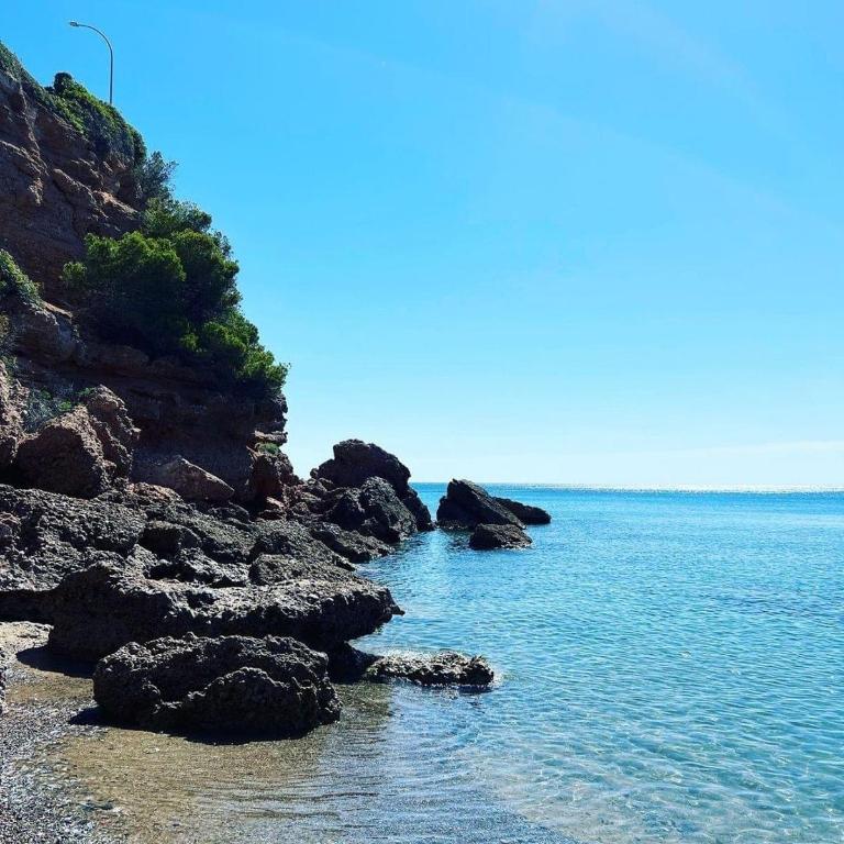 Apartamento con Piscina y Jardín Fantástico Cala Sirenas - Nuevo - Apartamento de 2 dormitorios - 16