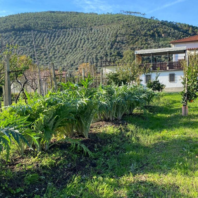 La tenuta di Eva - Two-Bedroom Apartment - 28