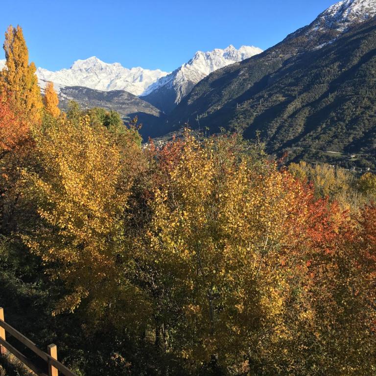 La casa del bosco - Appartamento - 26