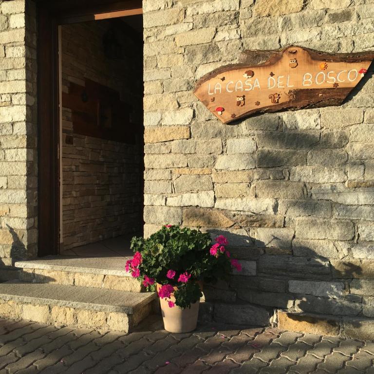 La casa del bosco - Appartamento - 4