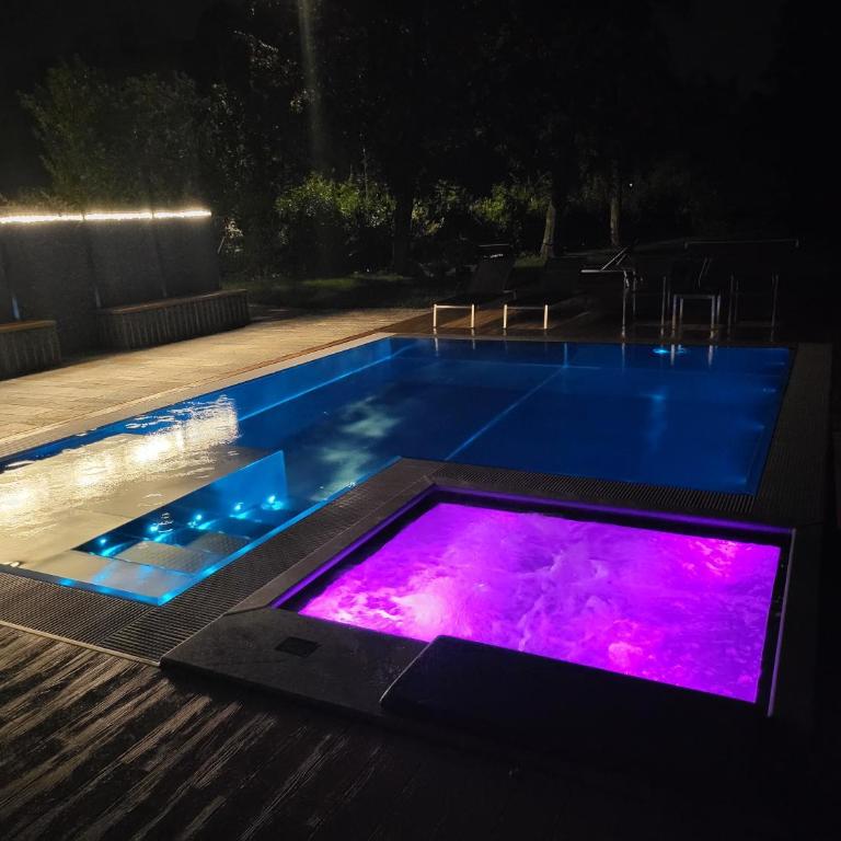 Royal Suite Parma con Piscine Calda e Fredda - Suite con Piscina Privata - 3