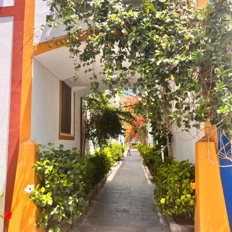 Yumbo Appartamenti Las Camelias Playa del Inglés - Apartamento de 1 dormitorio - 17