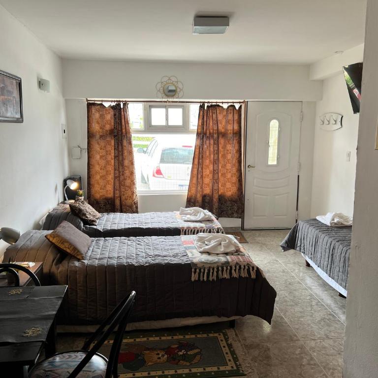 MS Hotel Campos 26 - Apartamento - 4