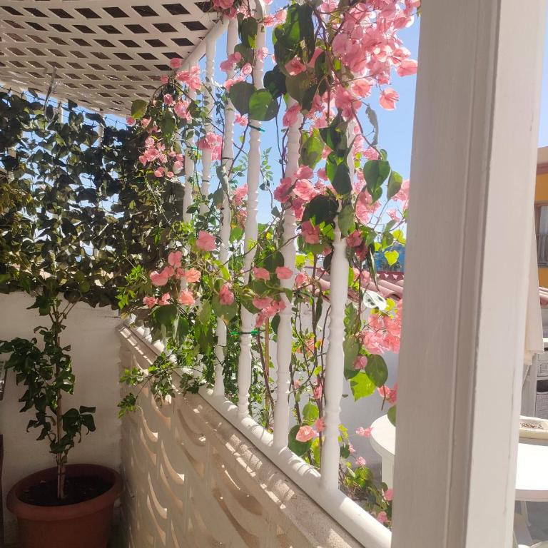 Alba 2 apartamento y Alba 3 habitación con baño - Apartamento con terraza - 56