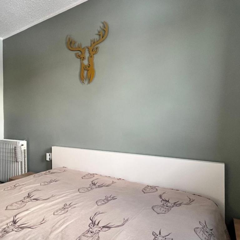 Chalet Fiocco di neve, Passo del Tonale - Appartamento - 6