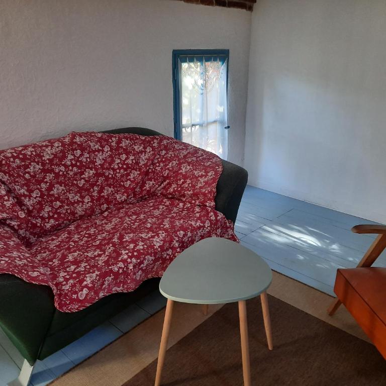 Ma Toulousaine Chambre d'Hôtes - Chambre Double - 9