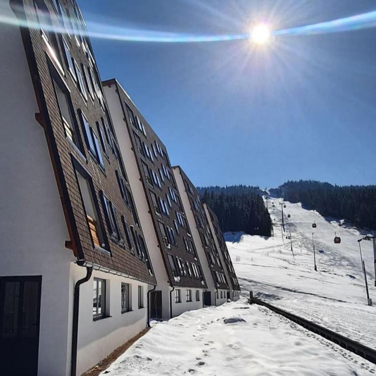 Diego - Ravna planina - Apartman sa 1 Spavaćom Sobom - 11