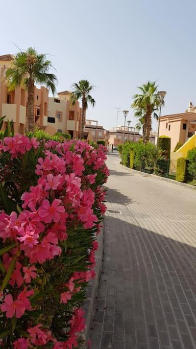Casa Puesta Del Sol - Apartamento de 2 dormitorios - 29