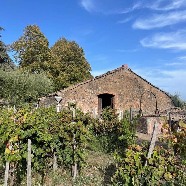 Le Dimore del Corso Acireale - Sicily Stay, fra Catania, Taormina, il Mare e l'Etna - Casa Vacanze - 25