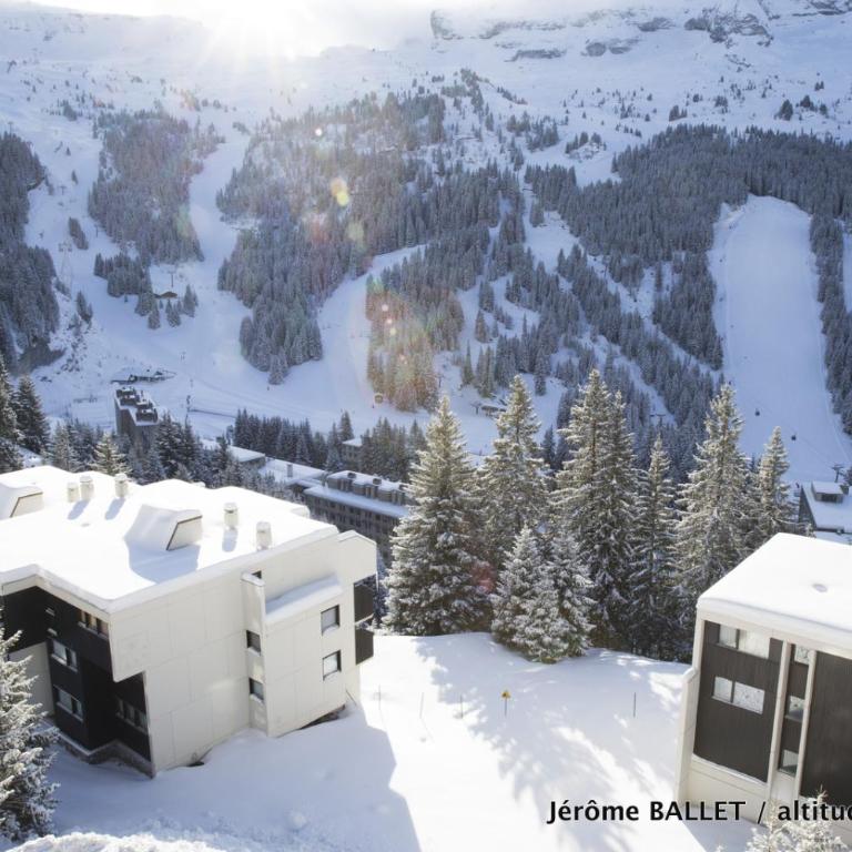 NID DOUILLET DE FLAINE - Studio - 12