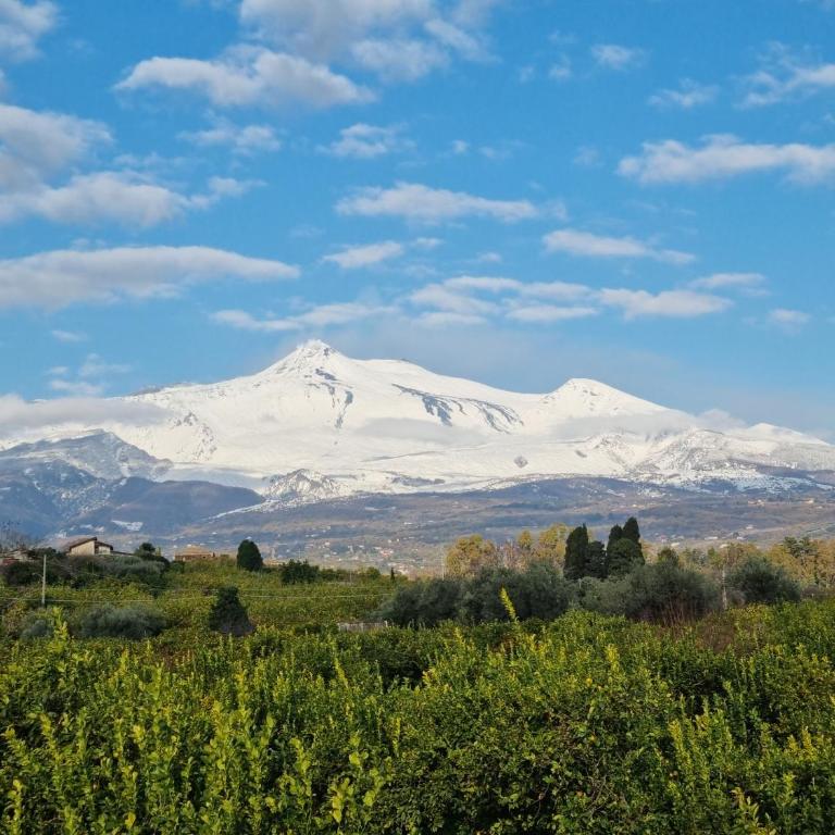 Le Dimore del Corso Acireale - Sicily Stay, fra Catania, Taormina, il Mare e l'Etna - Casa Vacanze - 14