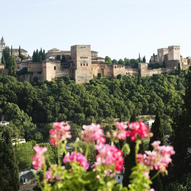 Apartamentos Montesclaros - One-Bedroom Apartment with Alhambra view - 29