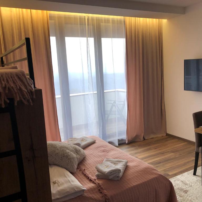 Kopaonik best view apartment - One-Bedroom Apartment - 4