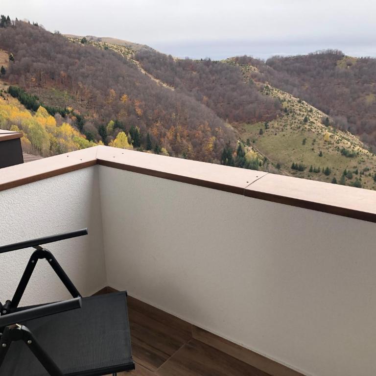 Kopaonik best view apartment - One-Bedroom Apartment - 21
