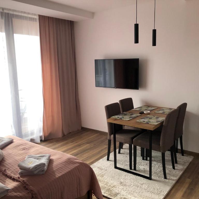 Kopaonik best view apartment - One-Bedroom Apartment - 5