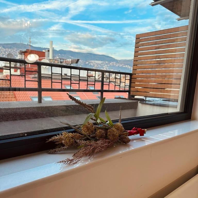 Sarajevo Skyline Apartment - Apartman sa 1 Spavaćom Sobom - 22