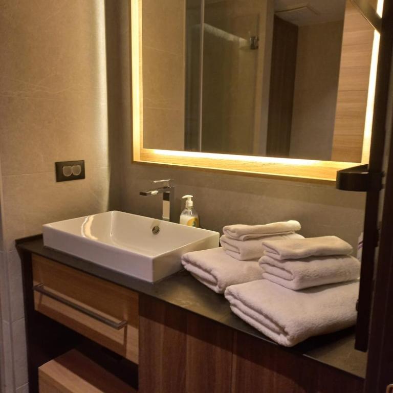 Woodside Kopaonik By Gogic - Apartman sa 1 Spavaćom Sobom - 10