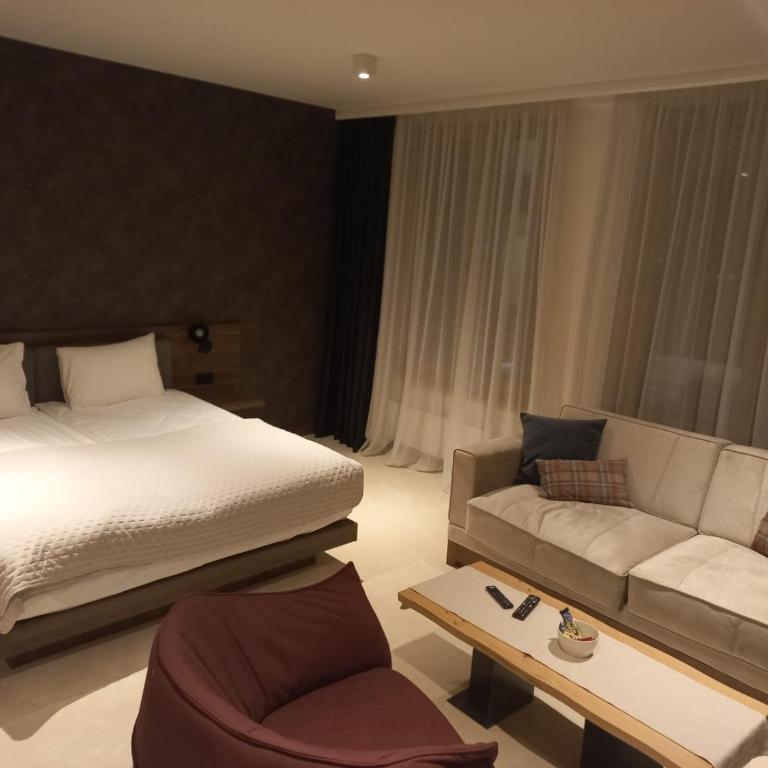 Woodside Kopaonik By Gogic - Apartman sa 1 Spavaćom Sobom - 6
