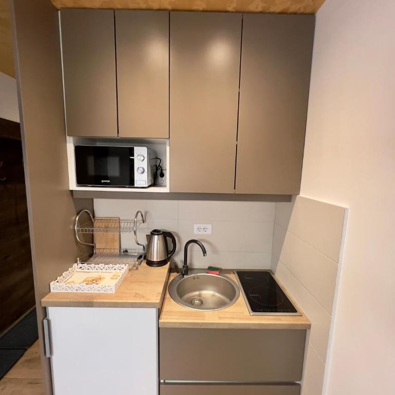 Apartmani Vidatela Kopaonik - Quadruple Room with Terrace - 12