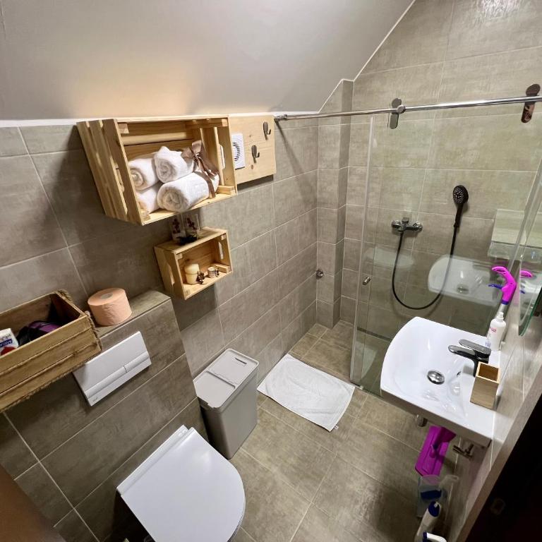 Apartmani Vidatela Kopaonik - Duplex Apartment - 13