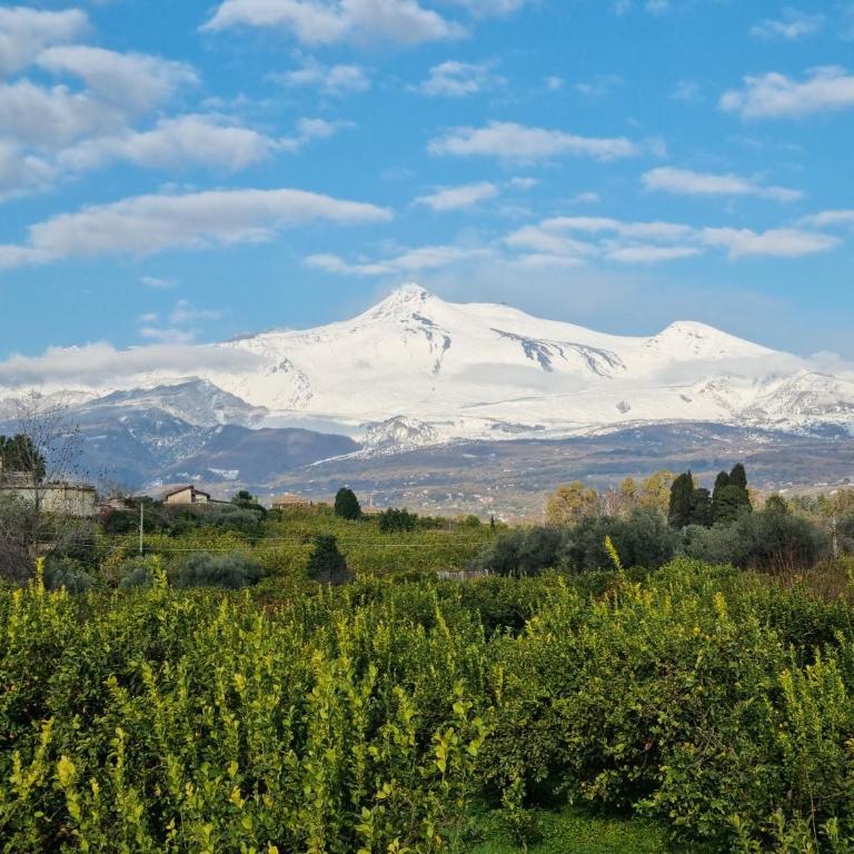 Historic Acireale Studio - Parking, Etna, Sea - Casa Vacanze - 32
