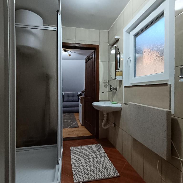 Crni vrh Divcibare - Apartman sa 1 Spavaćom Sobom - 3