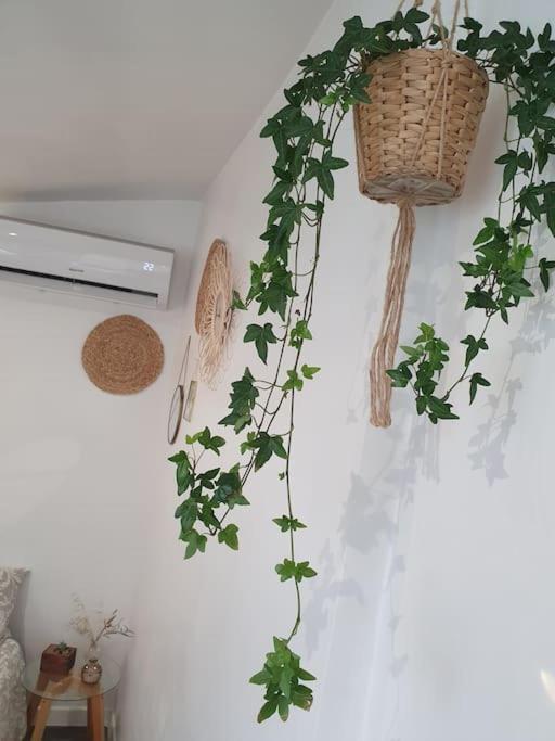 Studio-Valentine climatisée avec piscine chauffée & Spa 2 places - Apartment mit 1 Schlafzimmer - 23