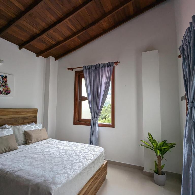 OCASSO JARDIN APARTAMENTO GALLITO DE ROCA - Apartamento de 3 dormitorios - 15