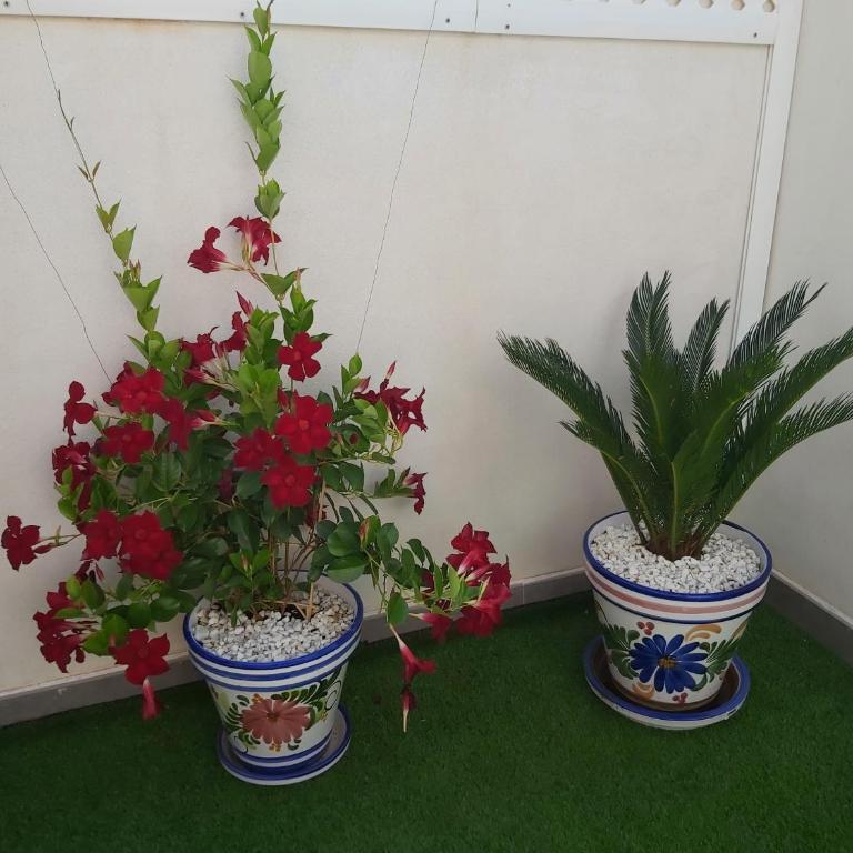 To Be (2B) in Malaga - Apartamento de 1 dormitorio - 23