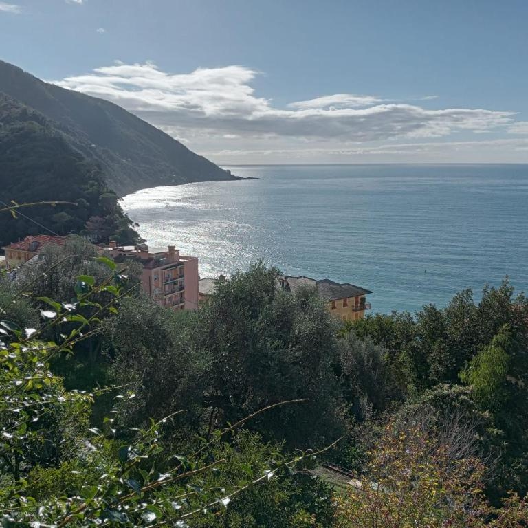 Giardino sul Mare - Casa con 2 Camere da Letto - 4