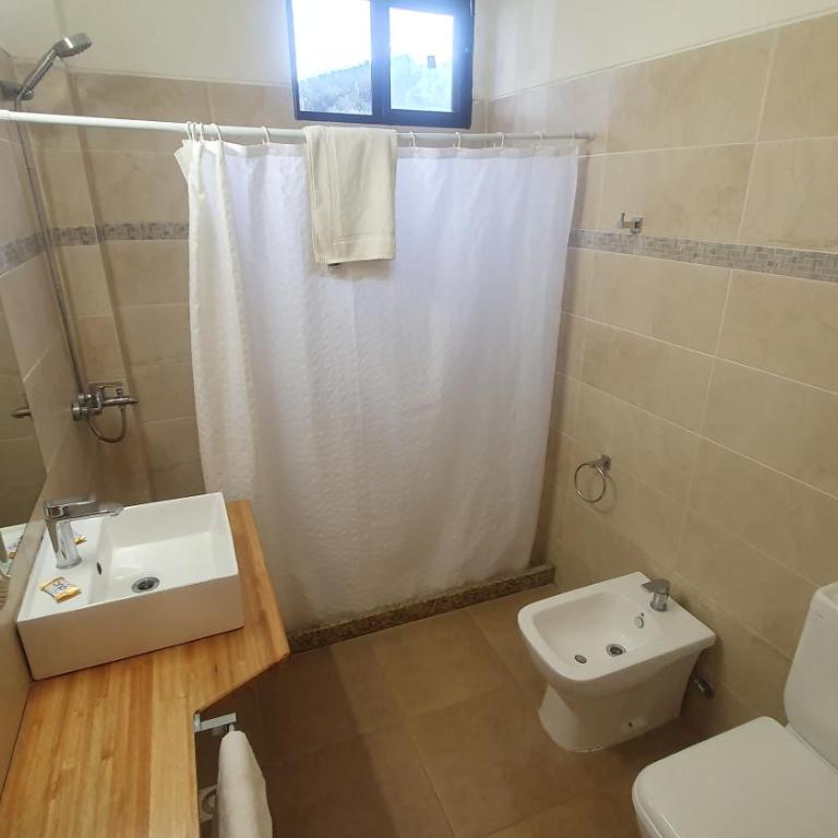 Hotel Viola - Standard Double Room - 3