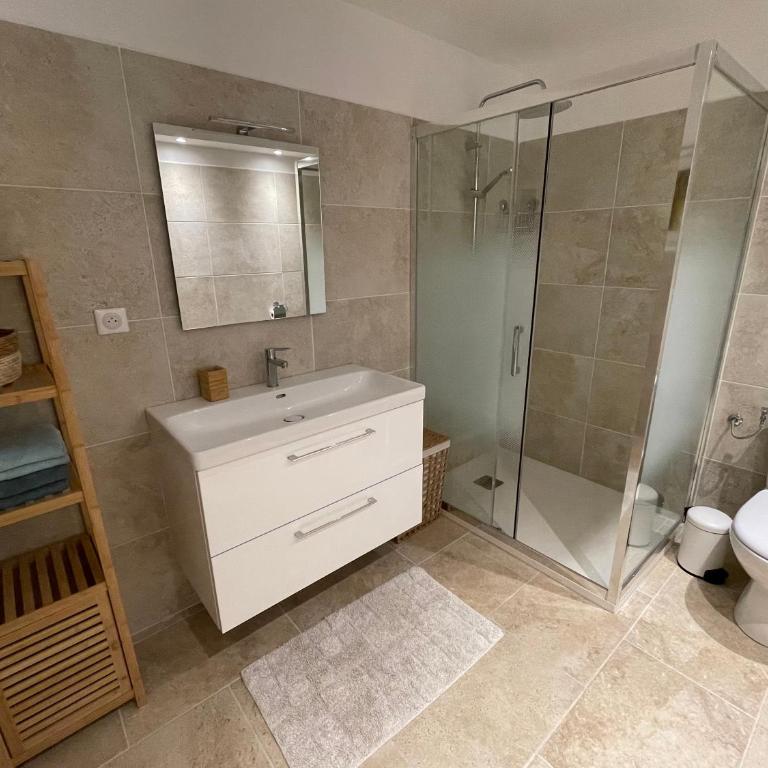 Villa Lou Soulas - Bas de villa avec piscine proche de Nice - Maison 1 Chambre - 17
