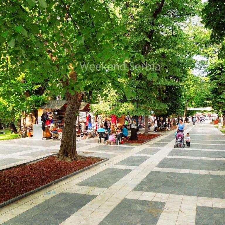 Konstantin Sokobanja - Apartman sa 1 Spavaćom Sobom - 19