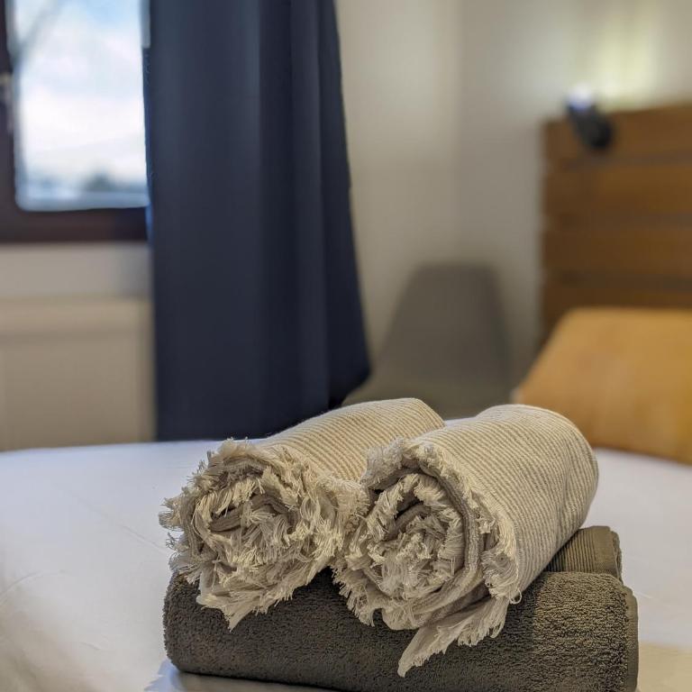 le Fier Pied à terre à Annecy - Apartamento - 25