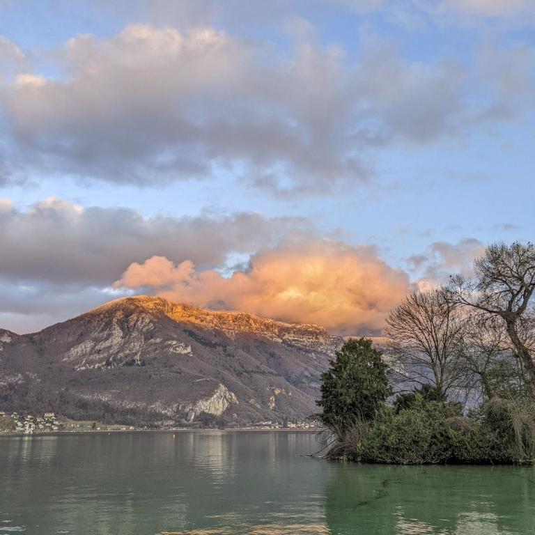le Fier Pied à terre à Annecy - Apartamento - 43